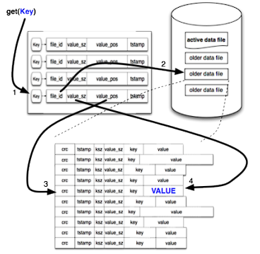 read_process